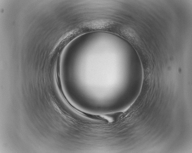 X0000055520400200508191551