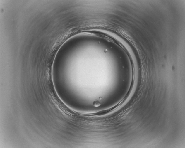 X0000055520401200508191551