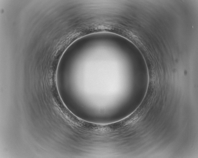 X0000055520402200508191551