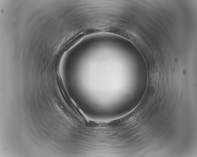 X0000055520404200508191551