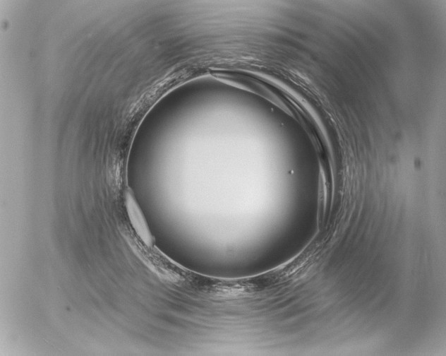 X0000055520405200508191551