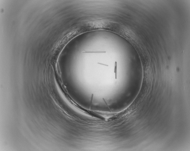 X0000055520406200508191551