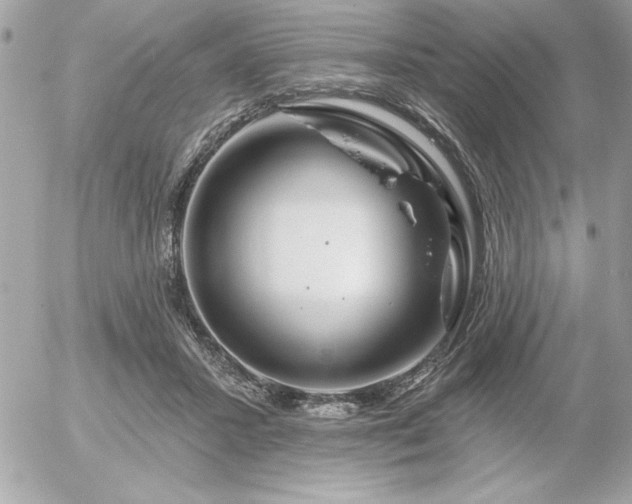 X0000055520407200508191551