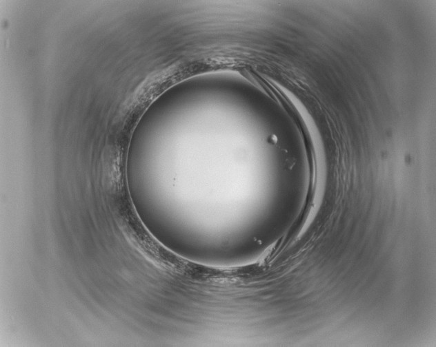 X0000055520408200508191551