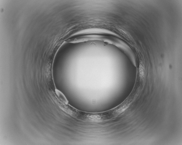 X0000055520409200508191551