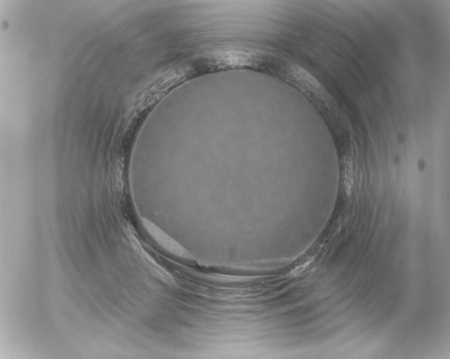 X0000055520410200508191551