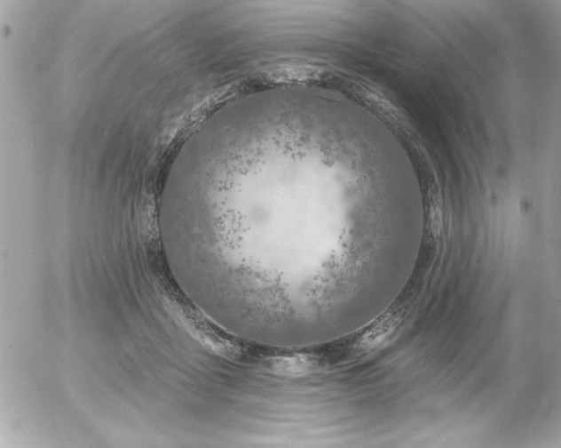 X0000055520411200508191551