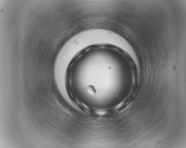 X0000055520412200508191551