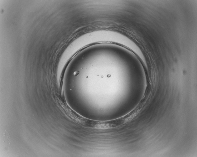 X0000055520413200508191551