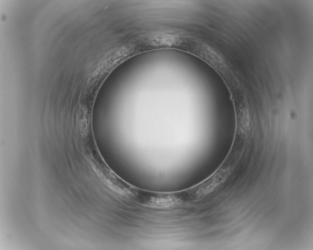 X0000055520414200508191551