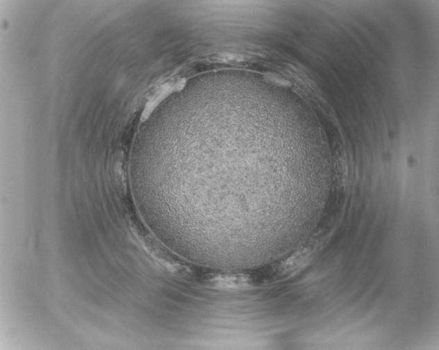 X0000055520415200508191551