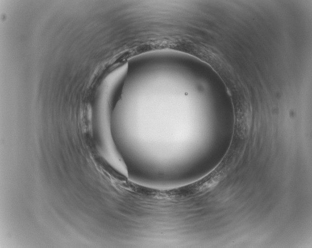 X0000055520416200508191551