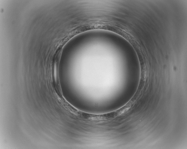 X0000055520417200508191551