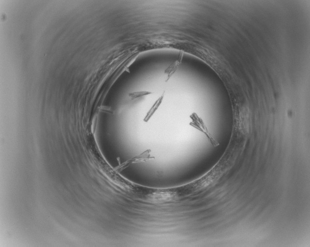 X0000055520418200508191551