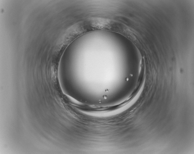 X0000055520420200508191550