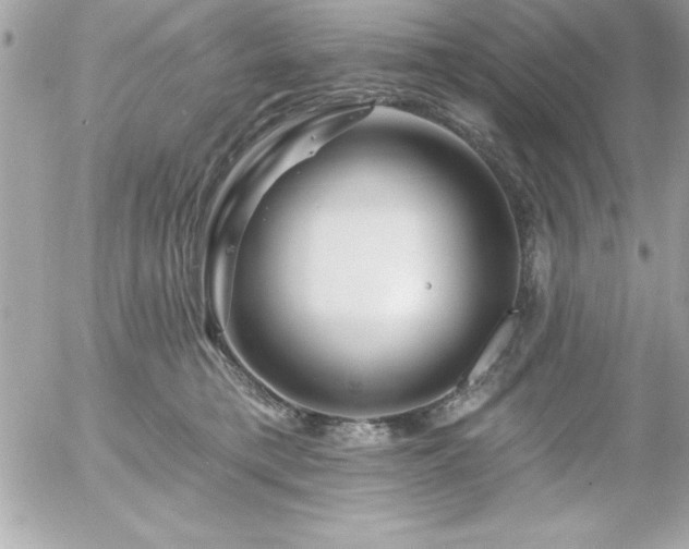 X0000055520421200508191550