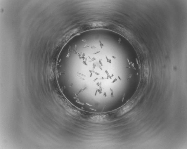 X0000055520422200508191550