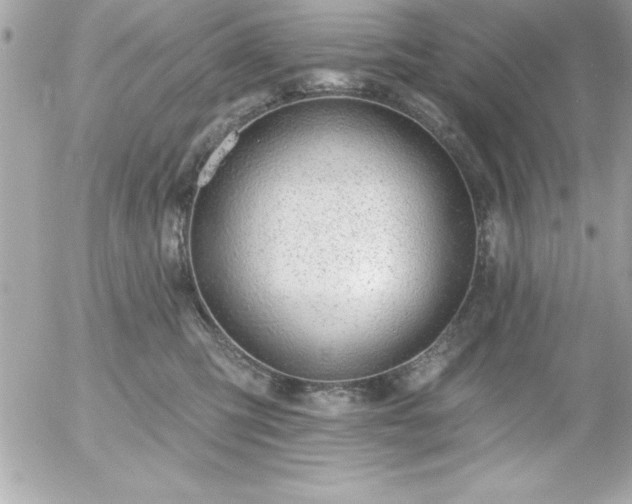 X0000055520423200508191550