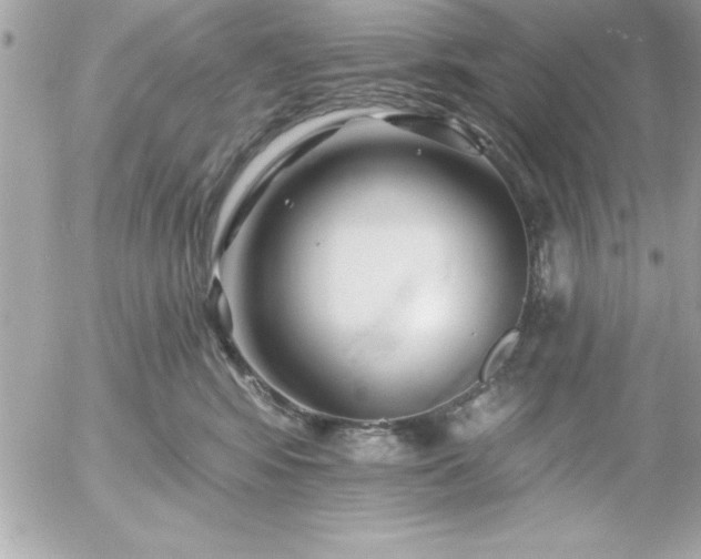 X0000055520424200508191550