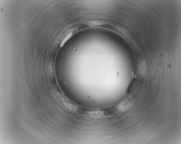 X0000055520426200508191550