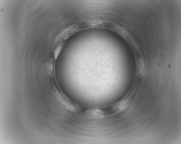 X0000055520427200508191550