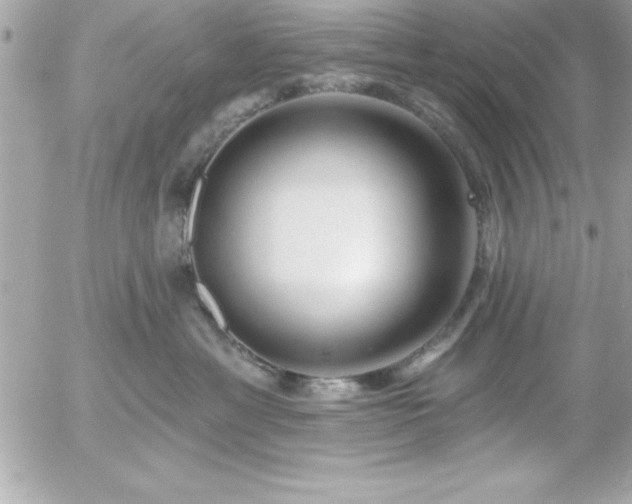 X0000055520429200508191550