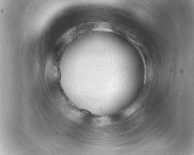 X0000055520431200508191550