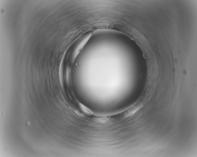 X0000055520432200508191550