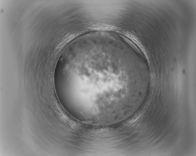 X0000055520433200508191550