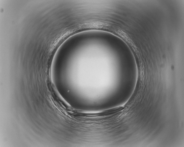 X0000055520434200508191550