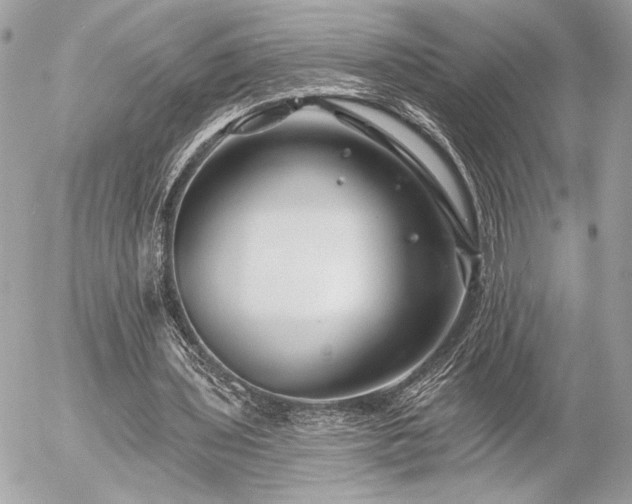 X0000055520435200508191550