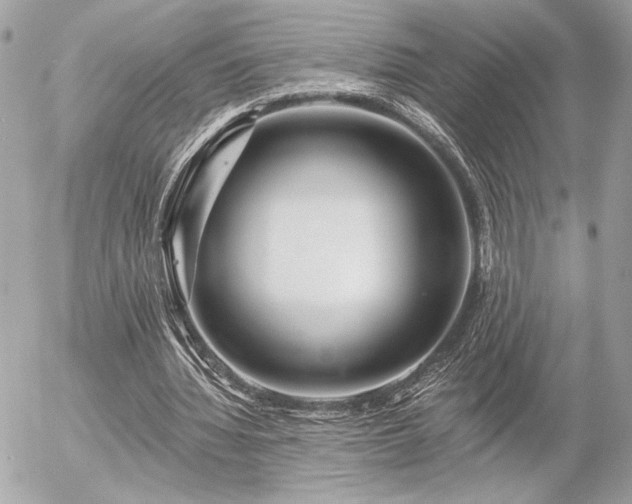 X0000055520436200508191550