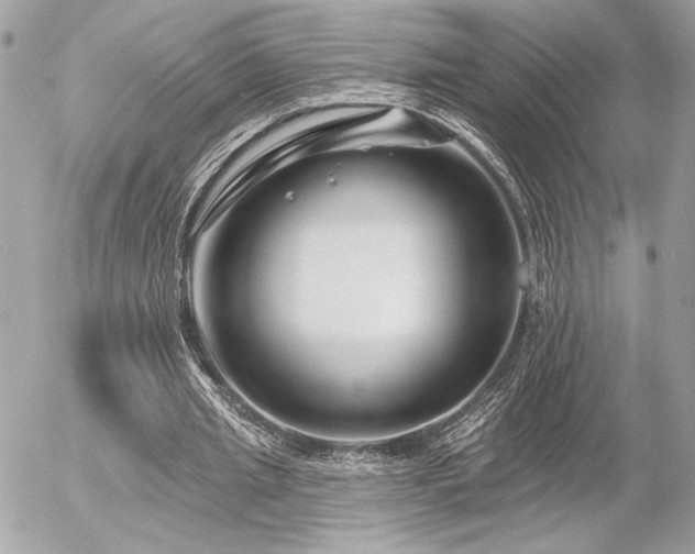 X0000055520437200508191550