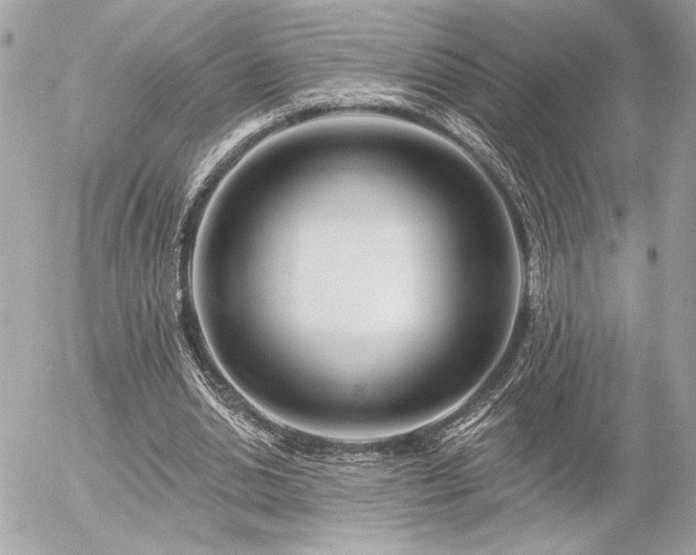 X0000055520438200508191550