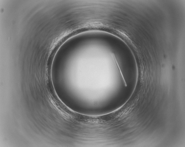 X0000055520439200508191550