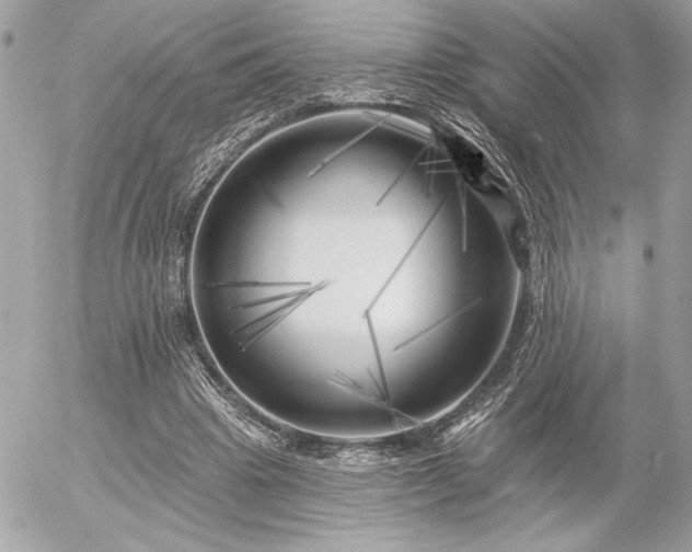 X0000055520441200508191550