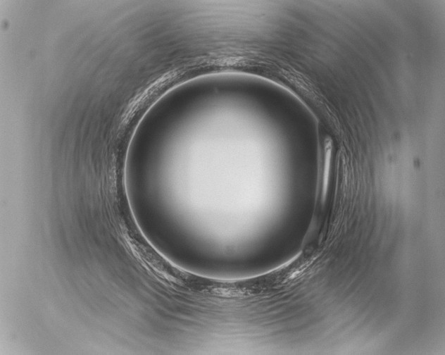 X0000055520442200508191550