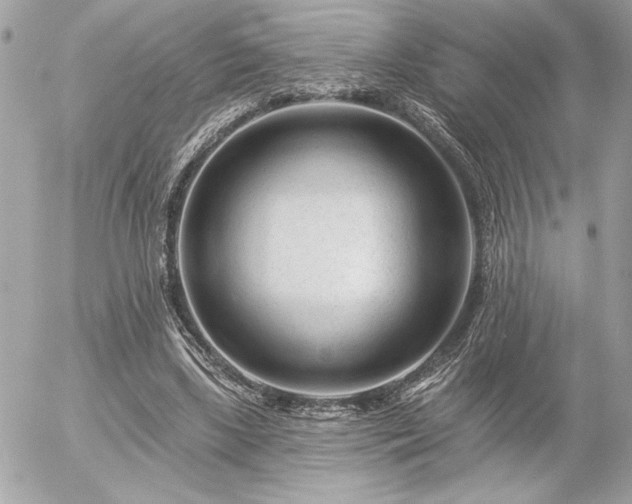 X0000055520443200508191550