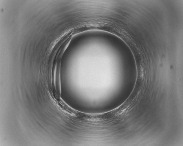 X0000055520444200508191550