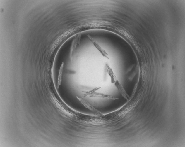 X0000055520445200508191550