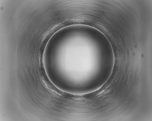 X0000055520446200508191550