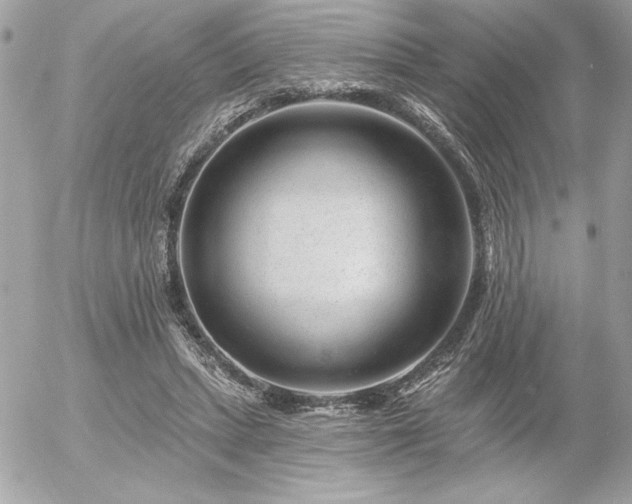 X0000055520447200508191550