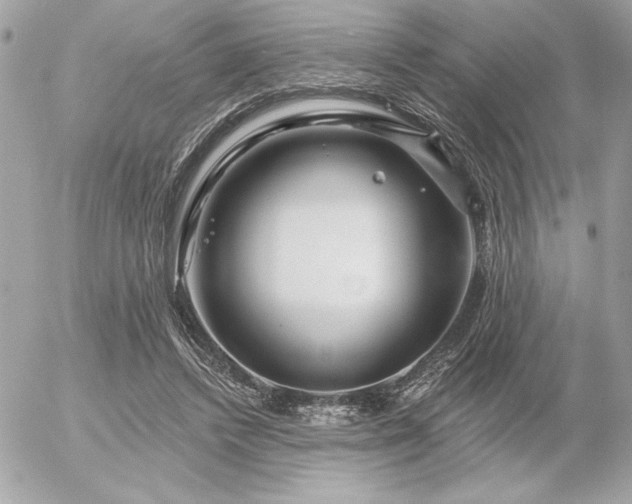 X0000055520448200508191550