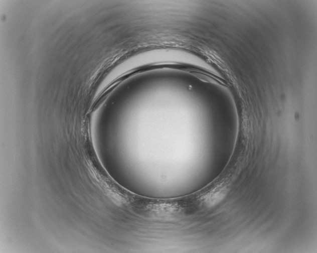 X0000055520449200508191550