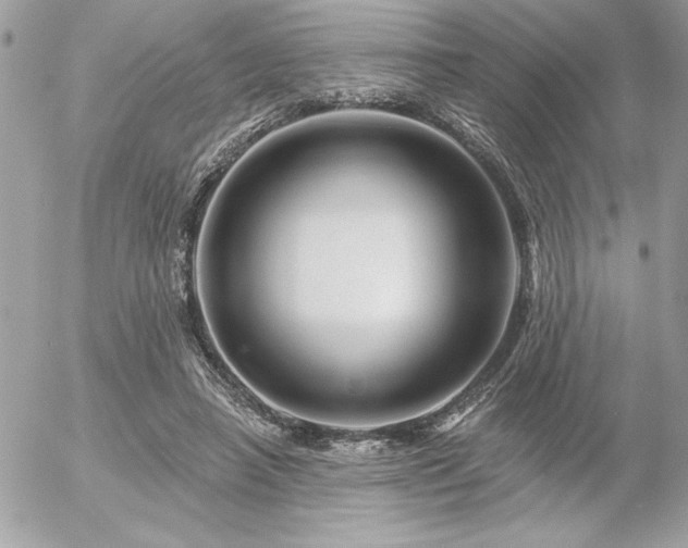 X0000055520450200508191550