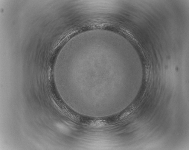 X0000055520451200508191550