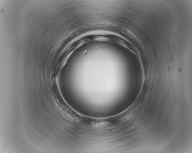 X0000055520452200508191550