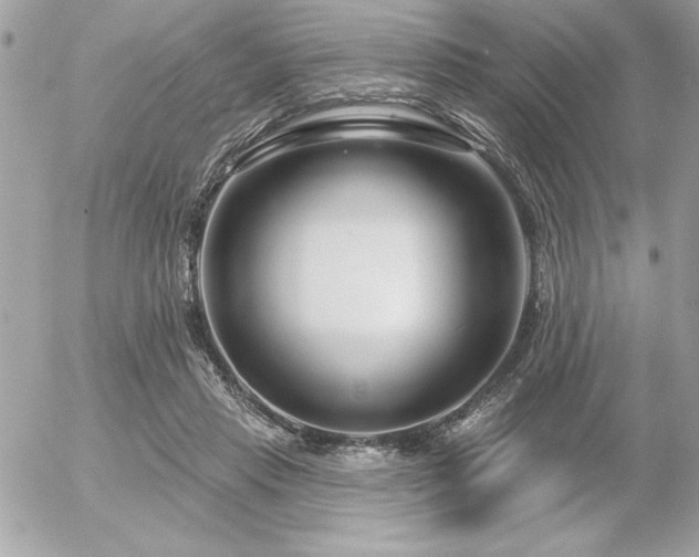 X0000055520453200508191550