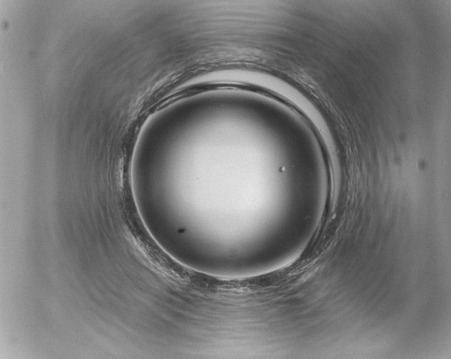 X0000055520454200508191550