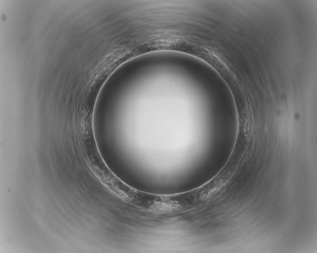 X0000055520455200508191550